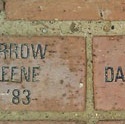 Brick Campaign 4
