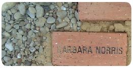 Brick Campaign